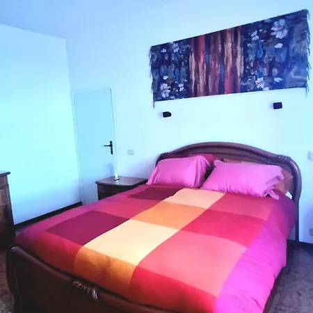 Vancini5 *