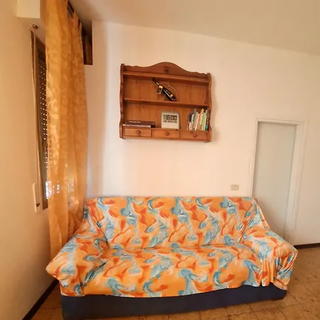 Vancini5 *